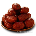 Nouveaux dates de jujube séché à la récolte à vendre